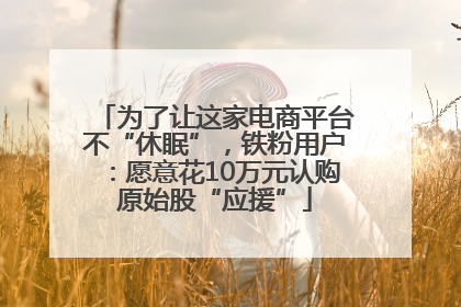 为了让这家电商平台不“休眠”，铁粉用户：愿意花10万元认购原始股“应援”