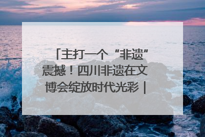 主打一个“非遗”震撼！四川非遗在文博会绽放时代光彩｜文博向“新”
