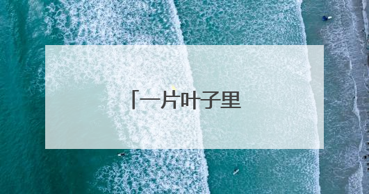 一片叶子里的共富脉络