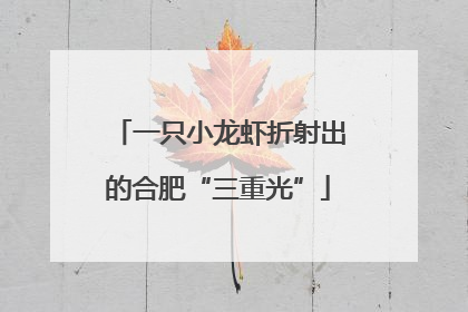 一只小龙虾折射出的合肥“三重光”