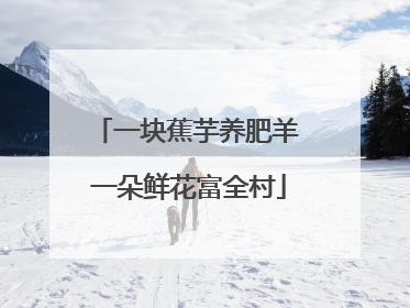 一块蕉芋养肥羊 一朵鲜花富全村