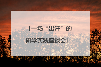 一场“出汗”的研学实践座谈会