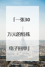 一张30万元的特殊电子回单
