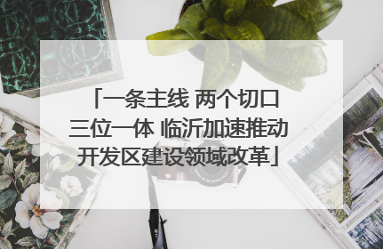 一条主线 两个切口 三位一体 临沂加速推动开发区建设领域改革