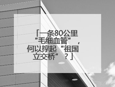 一条80公里“毛细血管”，何以撑起“祖国立交桥”？