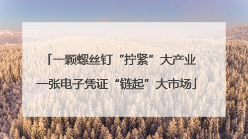 一颗螺丝钉“拧紧”大产业 一张电子凭证“链起”大市场
