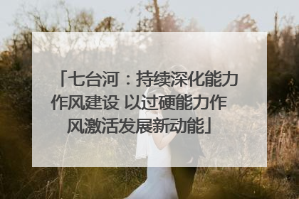 七台河：持续深化能力作风建设 以过硬能力作风激活发展新动能