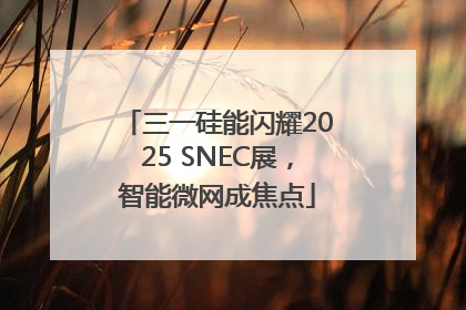 三一硅能闪耀2025 SNEC展，智能微网成焦点