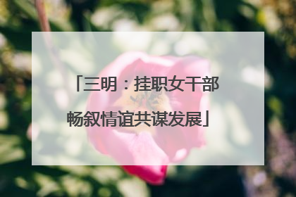 三明：挂职女干部畅叙情谊共谋发展