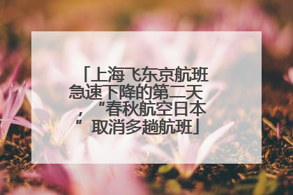 上海飞东京航班急速下降的第二天，“春秋航空日本”取消多趟航班