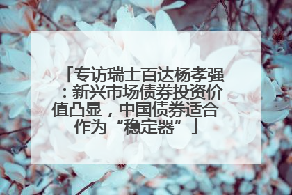 专访瑞士百达杨孝强：新兴市场债券投资价值凸显，中国债券适合作为“稳定器”