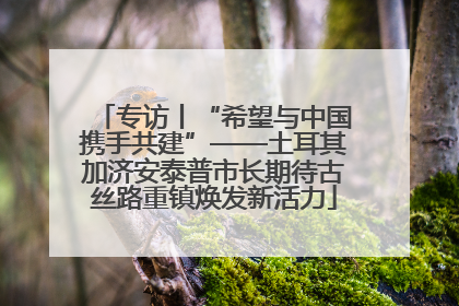 专访丨“希望与中国携手共建”——土耳其加济安泰普市长期待古丝路重镇焕发新活力