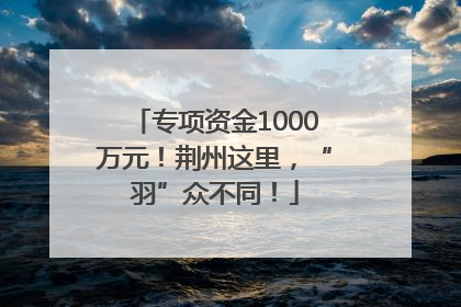 专项资金1000万元！荆州这里，“羽”众不同！