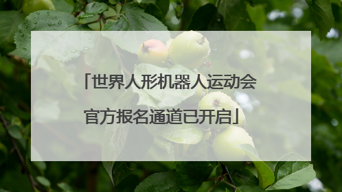 世界人形机器人运动会官方报名通道已开启