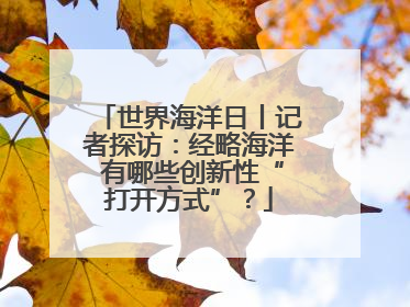世界海洋日丨记者探访：经略海洋 有哪些创新性“打开方式”？