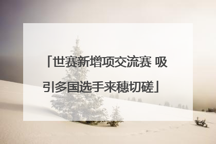 世赛新增项交流赛 吸引多国选手来穗切磋