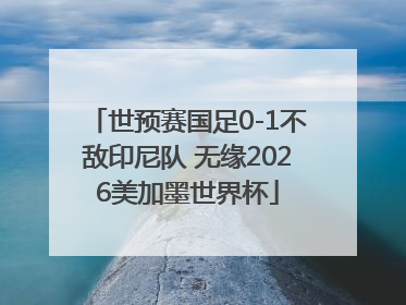 世预赛国足0-1不敌印尼队 无缘2026美加墨世界杯