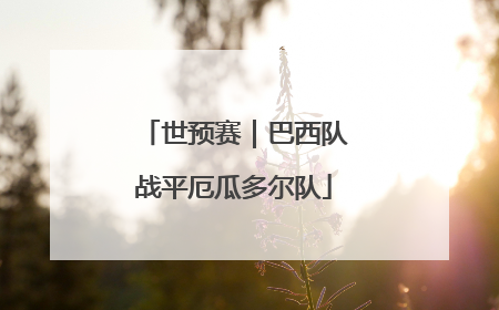 世预赛｜巴西队战平厄瓜多尔队