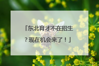 东北育才不在招生？现在机会来了！