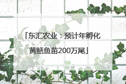 东汇农业：预计年孵化黄鳝鱼苗200万尾