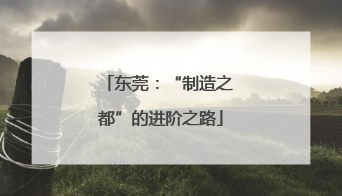 东莞：“制造之都”的进阶之路