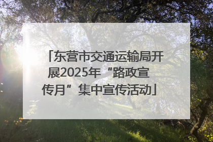 东营市交通运输局开展2025年“路政宣传月”集中宣传活动