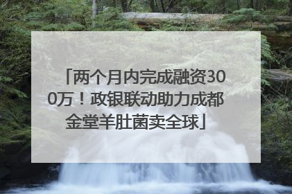两个月内完成融资300万！政银联动助力成都金堂羊肚菌卖全球
