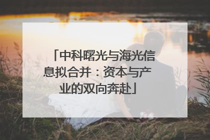 中科曙光与海光信息拟合并：资本与产业的双向奔赴