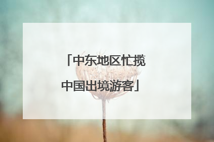 中东地区忙揽中国出境游客