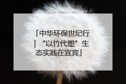 中华环保世纪行｜“以竹代塑”生态实践在宜宾