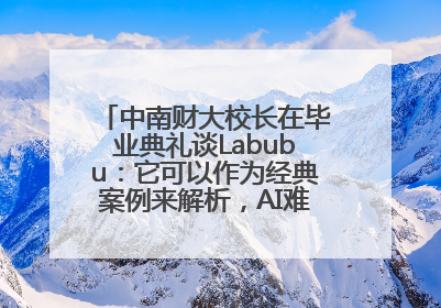 中南财大校长在毕业典礼谈Labubu：它可以作为经典案例来解析，AI难以给出答案