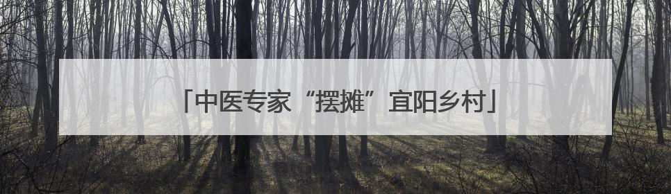 中医专家“摆摊”宜阳乡村