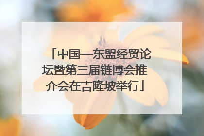 中国—东盟经贸论坛暨第三届链博会推介会在吉隆坡举行