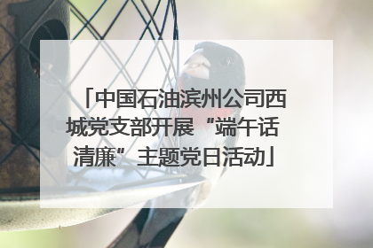 中国石油滨州公司西城党支部开展“端午话清廉”主题党日活动