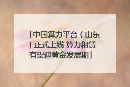 中国算力平台（山东）正式上线 算力租赁有望迎黄金发展期