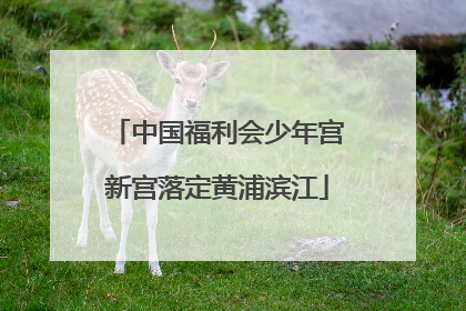 中国福利会少年宫新宫落定黄浦滨江