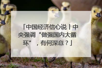 中国经济信心说丨中央强调“做强国内大循环”，有何深意？