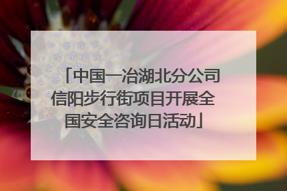 中国一冶湖北分公司信阳步行街项目开展全国安全咨询日活动