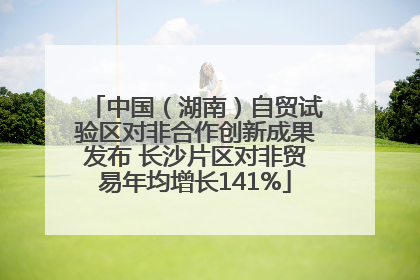 中国（湖南）自贸试验区对非合作创新成果发布 长沙片区对非贸易年均增长141%