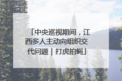 中央巡视期间，江西多人主动向组织交代问题｜打虎拍蝇