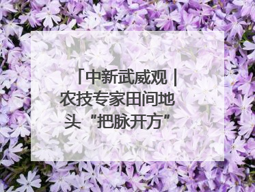 中新武威观｜农技专家田间地头“把脉开方”送“及时雨”