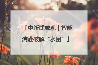 中新武威观｜智能滴灌破解“水困”