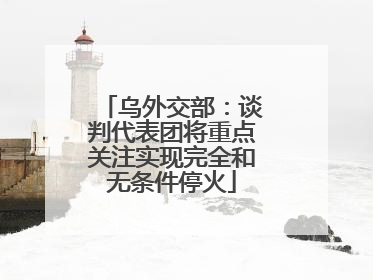 乌外交部：谈判代表团将重点关注实现完全和无条件停火