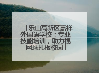 乐山高新区嘉祥外国语学校：专业技能培训，助力棍网球扎根校园