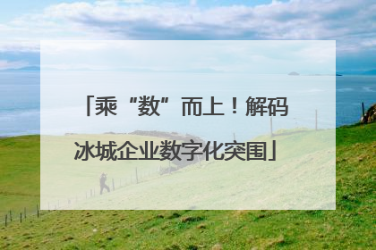 乘“数”而上！解码冰城企业数字化突围