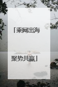 乘网出海 聚势共赢