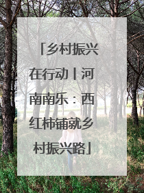 乡村振兴在行动丨河南南乐：西红柿铺就乡村振兴路