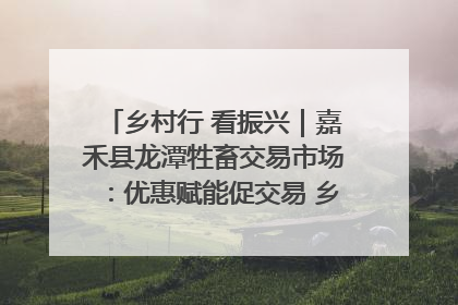 乡村行 看振兴｜嘉禾县龙潭牲畜交易市场：优惠赋能促交易 乡村振兴添动能