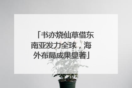 书亦烧仙草借东南亚发力全球，海外布局成果显著
