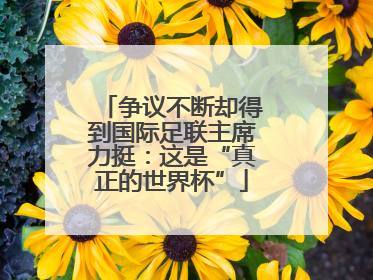 争议不断却得到国际足联主席力挺：这是“真正的世界杯”